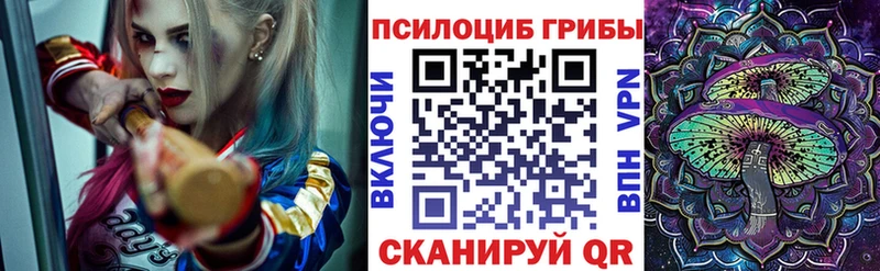 купить наркоту  KRAKEN   Псилоцибиновые грибы ЛСД  Ладушкин 