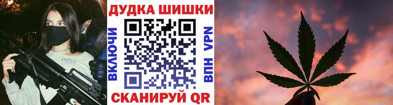 Марихуана план  Ладушкин 